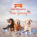 Nylabone Healthy Edibles WILD Natural Longer-Lasting Chew Treats, Venison Flavor, Large Dogs Up to 50 lbs - Made in USA (1 Count) (EXP 11/20/28)