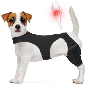 Dog Knee Brace for Back Leg, Dog Leg Brace Fit Middle Dogs for Luxating Patella, Hip Dysplasia, Torn ACL Hind Leg, Ligament Injuries (Middle)