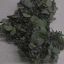 Winlyn 5.9' Long Faux Silver Dollar Eucalyptus Leaves Greenery Artificial Garland in Grey Green for Wedding Arch Swag Backdrop Doorways Table Runner Indoor Outdoor