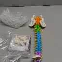 QWORK Flexible Human Spine Model with Spinal Nerves Pelvis and Thighs, Vertebral Column Anatomical Model for Medical Learning Researching Display, 45 cm / 18"