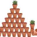 Riseuvo 32pcs 2" Small Mini Terracotta & Clay Pot Planter - Cactus Flower Nursery Terra Cotta Pots with Drainage, Perfect for Indoor/Outdoor Plants, Crafts