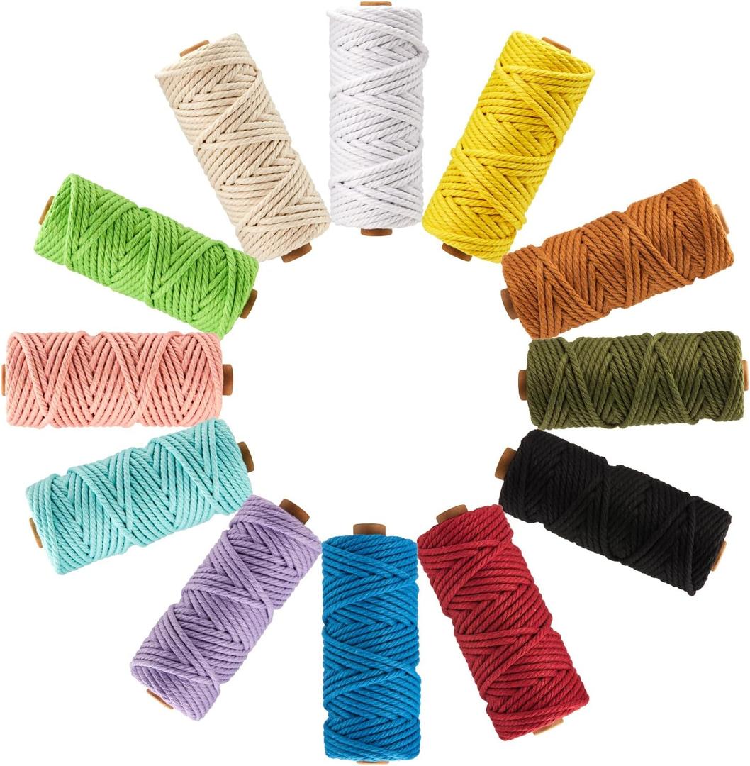 PHUNTTEK 5mm Macrame Cord, 12 Colors Kit Cotton Cord Supplies 4 Strands Colored Yard Twine String for Crafts Rope Large Wall Hanging Projects DIY Plant Hanger