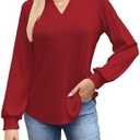 ALFYRCFT Long Sleeve Shirts for Women V Neck Pleated Puff Sleeve Tunic Tops Dressy Casual Work Loose Blouses 2025 Fall M