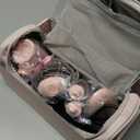 5 in 1 Hot Air Styler Wrap - High-Speed Hair Dryer, Volumizing Brush with Auto Curlers, Fast Drying & Frizz-Free Styling Straightening, No Heat Damage, Includes Travel Bag, Gift for Women (Pink)