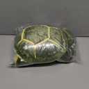 Sea Turtle Stuffed Animal Plush Pillow,Tortoise Plush Toys Doll Gifts for Kids,Girls, 19.6 inch