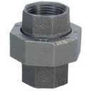Anvil International 8700162855, Malleable Iron Pipe Fitting, Union, 1/4" NPT Female, Black Finish (0.25 Inch)