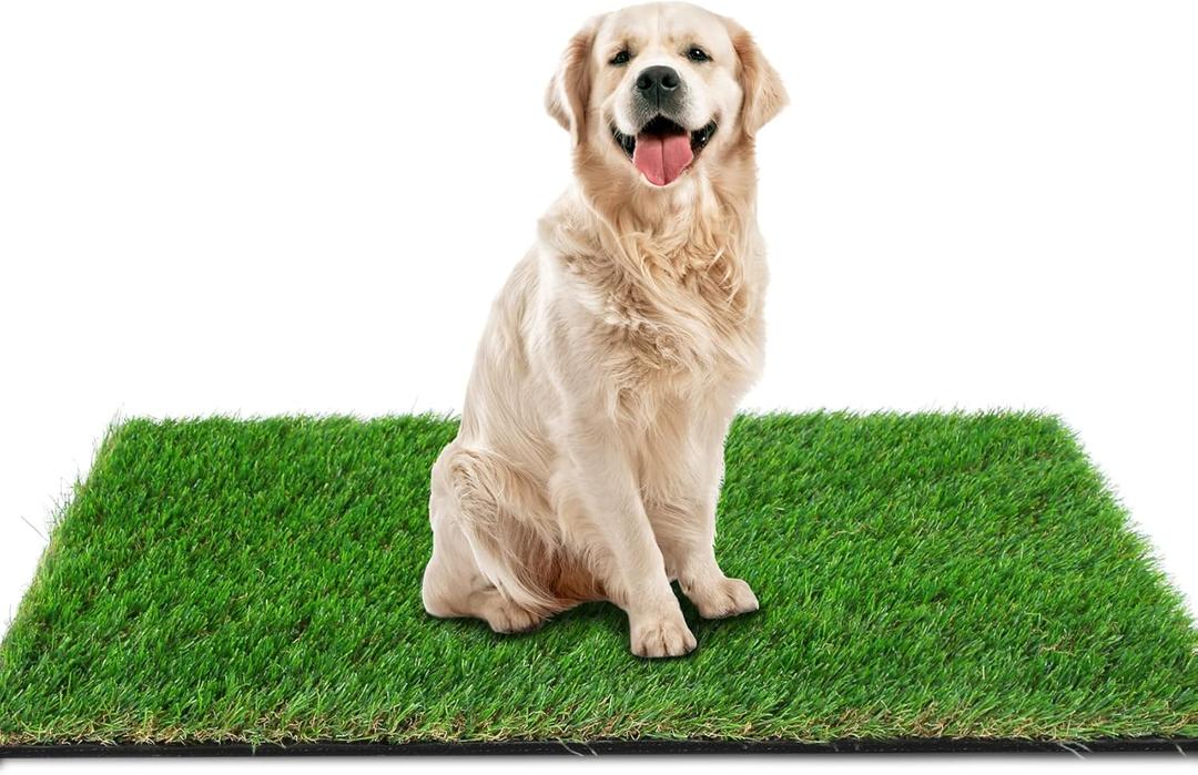 GLOBREEN Grass Pad for Dog Large Size  2FTx6FT, Dog Potty Training Turf, Indoor Outdoor Pets Pee Fake Grass for Balcony Patio Yard