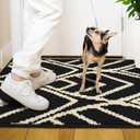 HDFK Door Mat, 30x17 Inch Black Slip-Proof Entry Rug for Muddy Paws - Heavy-Duty Washable Floor Mats for Indoor Outdoor, TPR-Backed Dirt Catcher for Pets & Porches