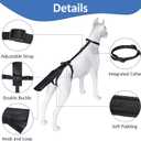BARKLESS Dog Tail Protector, Dog Tail Guard for Medium Large Dogs, Adjustable Cover to Prevents Licking Wounds, Breathable Tail End Bag for Recovery (Black, L)