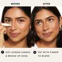 Freckle StampQuick-Dry 5-Point Cushion Pen,Waterproof & Long-Lasting Faux Freckles  For Women Seeking Natural Sunkissed Makeup Look  Everyday & Party Use (light)