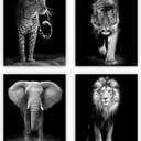 4 Set-Black and White African Wild Animal Photo Wall Art, Tiger, Lion, Elephant, Leopard Picture Canvas Wall Poster Printing, Brave Inspirational Wall Art For Bedroom Living Room Decor(8"x 10"Unframed)