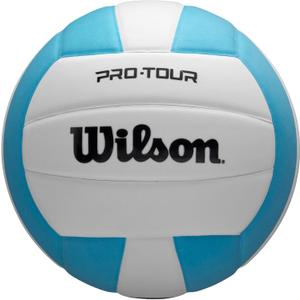 WILSON Pro Tour Indoor (Official Size, Teal/White)