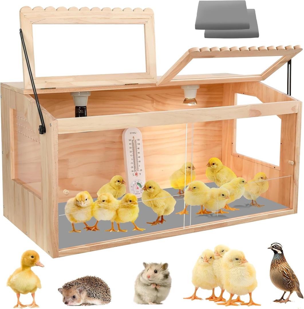 Brooder Box for Chicks, Chick Brooder Boxs, Chick Brooder, Quail Cages, Small Brooder Box for Chick, Ideal for Chicks, Ducks, Quails, Hamsters and Lizards, 31.5'L x 15.8'W x 15.8'H.