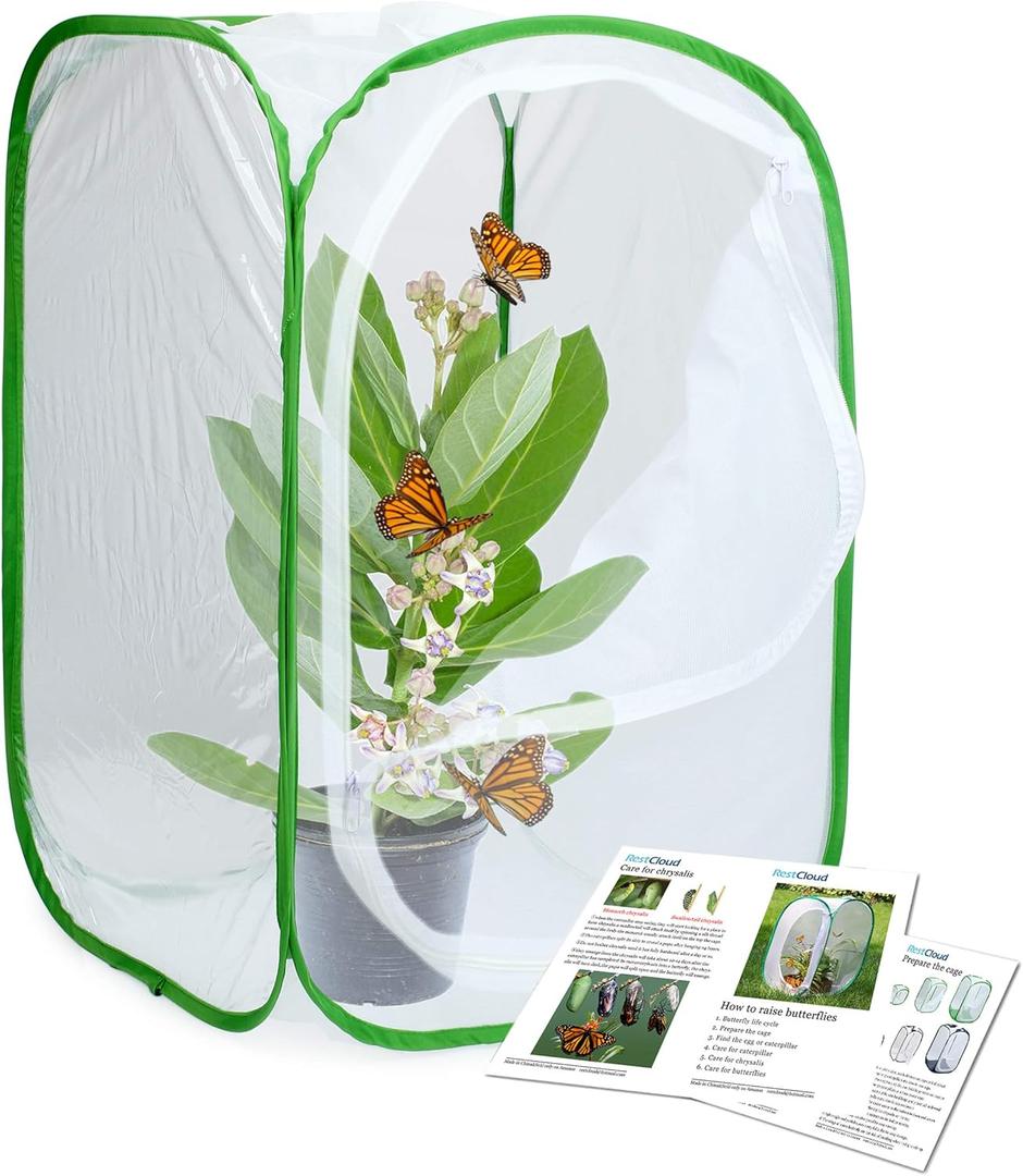 RESTCLOUD Insect and Butterfly Habitat Cage Terrarium Pop-up 23.6 Inches Tall (White With Green)