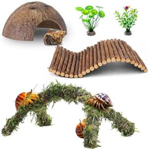 Hermit Crab Accessories, Hermit Crab Shells Natural Coconut Moss Climbing Bridge Toys Decor for Reptile Amphibians Tank Supplies