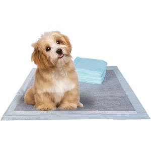 BV Charcoal Puppy Pads 100 Count 22"x22" - Leak-Proof Pee Pads for Dogs with 6-Layer Absorbent Design & Built-in Attractant - Dog Pad with Charcoal for Odor Control, Perfect for Puppies & Senior Dogs