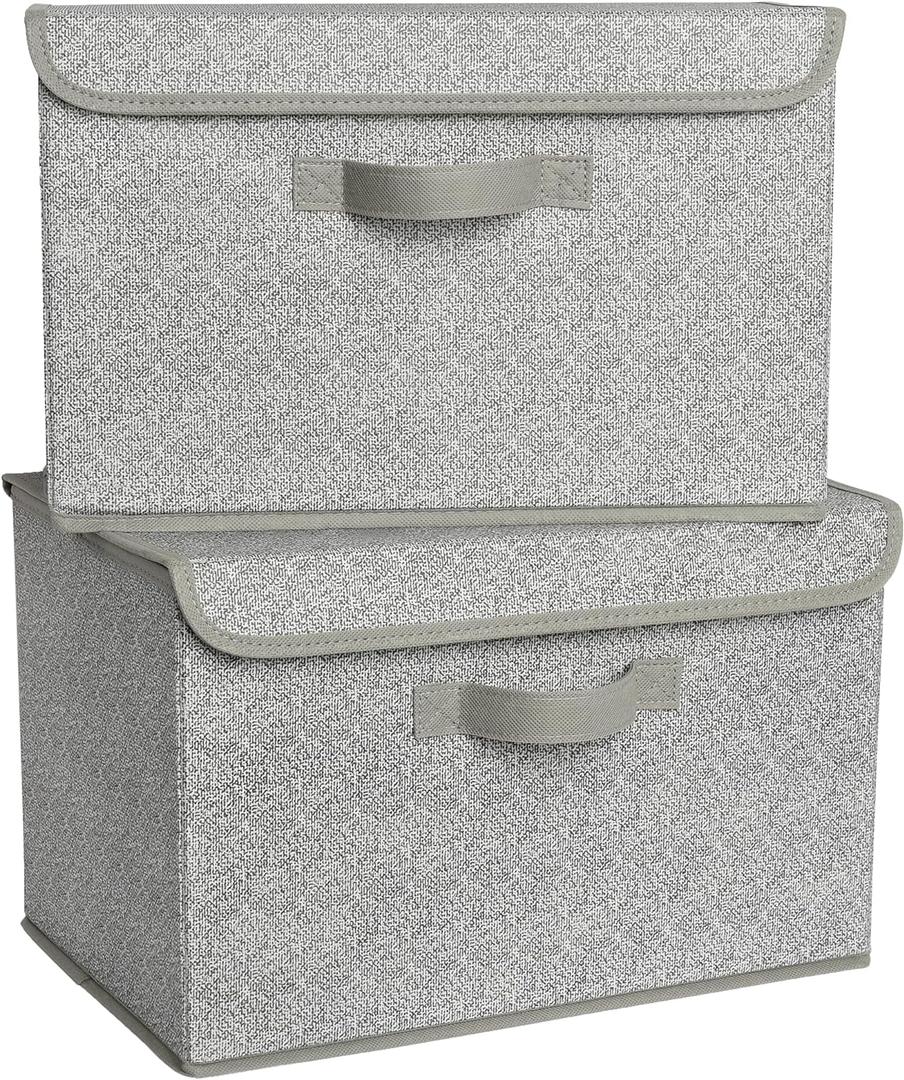 GRANNY SAYS Closet Storage Bins, Storage Boxes with Lids, Clothes Organizing Bins, Lidded Baskets for Toys, Clothing, Gray, Extra Large, 2-Pack