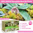 Riare 4.4LBS Premium Sphagnum Moss for Plants- 80QT Natural Dried Plant Moss for Potted Plants, Orchid Moss for Repotting, Soft Green Decorative Moss for Succulents, Reptiles & DIY Crafts