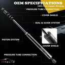 Rear Hatch Struts Trunk Lift Support Compatible with Cadillac Escalade Chevrolet Suburban 1500 2500 Tahoe GMC Yukon 2000-2005 Replace for 4557,PM2020,SG230056, 15746119