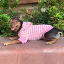 YQYS Dog Hoodie with Leash Hole, Striped Cotton Sweatershirt for Small Dogs, Good Look Outfits in Park, Daily Wear Warm Puppy Apparel for Indoor Outdoor Walking Pink Small