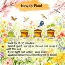 2PC Plantable Seed Calendar 2026, Eco-Friendly Plantable Love Seed Calendar 2026, Perfect Modern Greening Calendars Planner, Month Biodegradable Paper Planner, for Garden and Decor