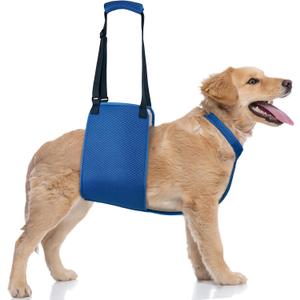 Adjustable Dog Lift Harness with Fixing Strap, Lift Sling for Large Dogs Hind Leg Support, Soft Rehab Harness for Weak Rear Legs, Ideal for Senior, Injured, Disabled Dogs and Surgery Recovery (L)