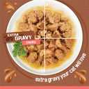 Purina Friskies Extra Gravy Wet Cat Food Chunky 24ct Variety Pack (With Chicken, Turkey, Salmon, Beef) - (Pack of 24) 5.5 oz. Cans (EXP 03/01/28)