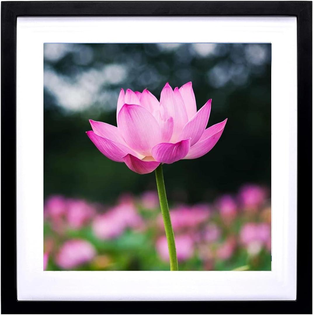 Mxtallup 40x40 Diamond Painting Frames Picture Wood,Display Pictures16x16 Inch/ 40x40 cm with Mat or 18x18 Inch/45x45cm Without Mat, Diamond Embroidery Photo Frame Diamond Art frames Black (TK007)