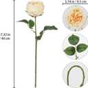 IPOPU 5PCS Real Touch Austin Roses Champagne Flowers Peony Artificial Flowers Fake Roses with Stems for Wedding Bouquet Party Home Decor(Champagne)