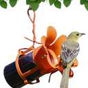 Songbird Essentials Jelly Bird Feeder, Oriole Feeder, Easy to Fill with Jelly or Jam, Plastic Jar Included. Fits Most 10-12 Ounce Jelly Jars