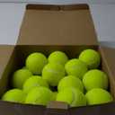 Vinsot 24 Pack Tennis Balls Bulk, Standard Pressure Balls for Training Playing Player Beginner Youth, 2.5 Inch (Yellow)