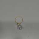 Cat Pet Keepsake Funeral Supplies: DIY Pet Fur Memory Capsule, Memorial Keychain for Cats, Transparent Transparent Material Pets Fur Keepsake, Self-Fill cat Memorial Gift for Pets Lovers (No.4)