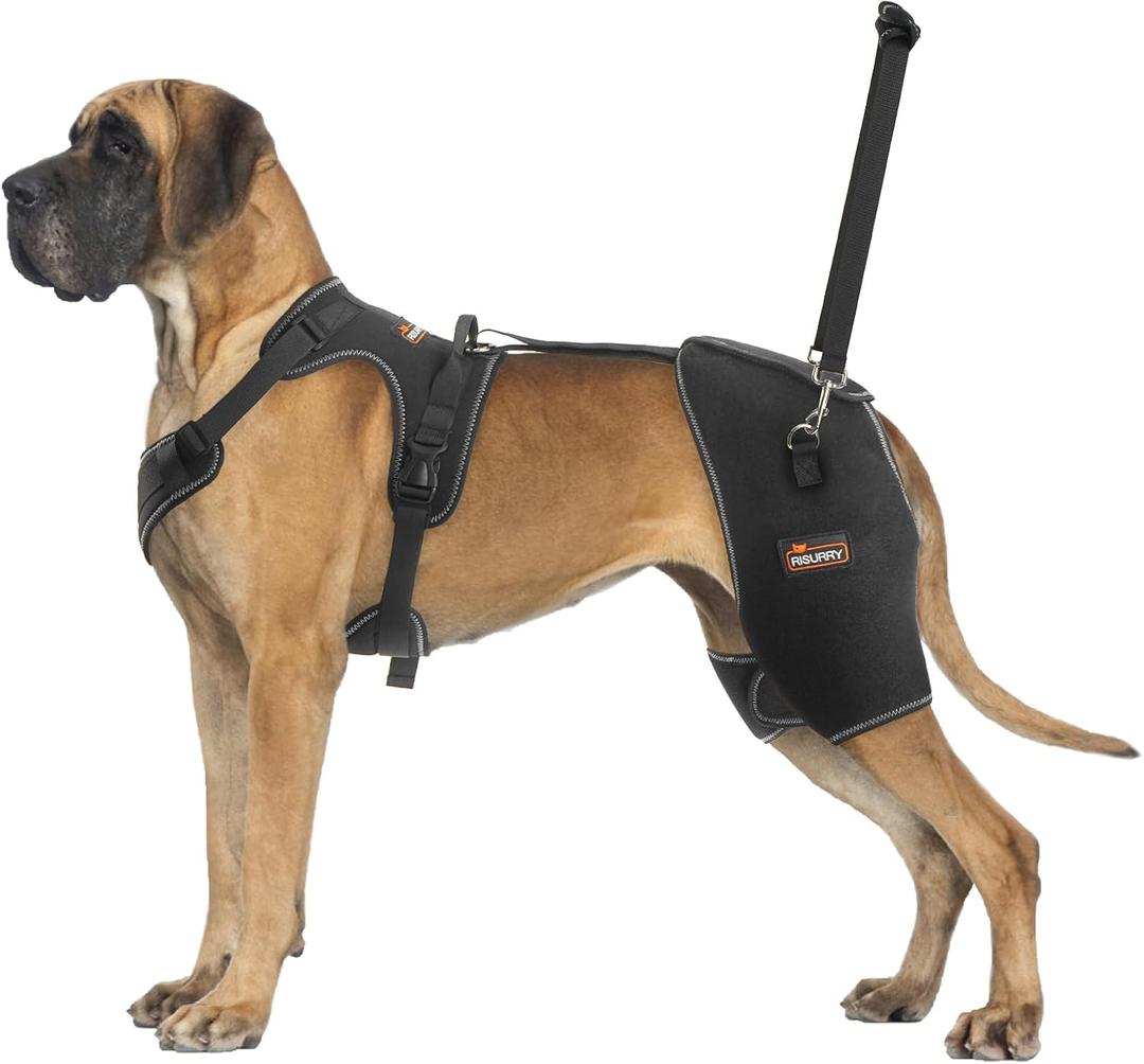 CHAMIN/RISURRY Dog Hip Brace Support for Hip Dysplasia, Arthritis, Back Leg limping, Rear Leg Brace with Back Handheld Design to Reduce Hip Pain et(Extra Extra Large)