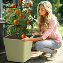 SUNYRISY Raised Garden Bed Planter Box with Trellis, Self Watering Tomato Planter Box with Wheels for Climbing Plants Vegetable Vine Flowers Outdoor Patio, Sage Green