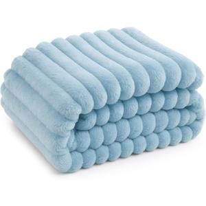 Bedsure GentleSoft Blue Throw Blanket for Couch - Cozy Soft Blankets for Women, Cute Small Fleece Throw for Girls, Spring Decorations for Home Room Decor Gifts for Women Her, Light Blue, 50x60 Inches