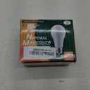 Neporal MagicGlow Rechargeable Light Bulbs with Remote, 3 Colors Shift + Dimmable Battery Powered Light Bulbs, USB Rechargeable, A19 Standard Emergency LED Light Bulbs, 15W, Up to 24 Hours, 2 Pack