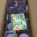 Ruckae 16oz 10 Pack Glass Juice Bottles with Dual Scale, Reusable Glass Bottles with Hole Lids and Straws Mason Jar for Juicing, Smoothies, Kombucha - Water Bottle for Fridge or Gym (Purple)