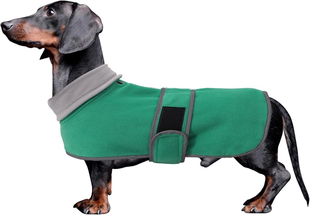 Dachshund Coats Sausage Dog Fleece Coat in Winter Miniature Dachshund Clothes with Hook and Loop Closure and high vis Reflective Trim Safety - Green - XS (X-Small(Back: 12"-13"in))