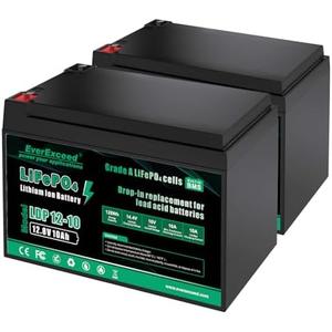 EverExceed 12V 10Ah LiFePO4 Battery Built-in 10A BMS, 3000+ Deep Cycles 12V Lithium Battery for Power Wheels, Fish Finder, Lawn Mower, Burglar Alarm System, Lighting, RV, 2 Pack
