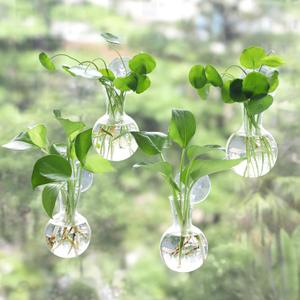 4 pcs Window Propagation Stations, Easy to Install Plant Propagation Bulbs with Suckion Cups, No Nails Wall Hanging Planter Propagation Station, Glass Plant Terrarium Vase (Clear)