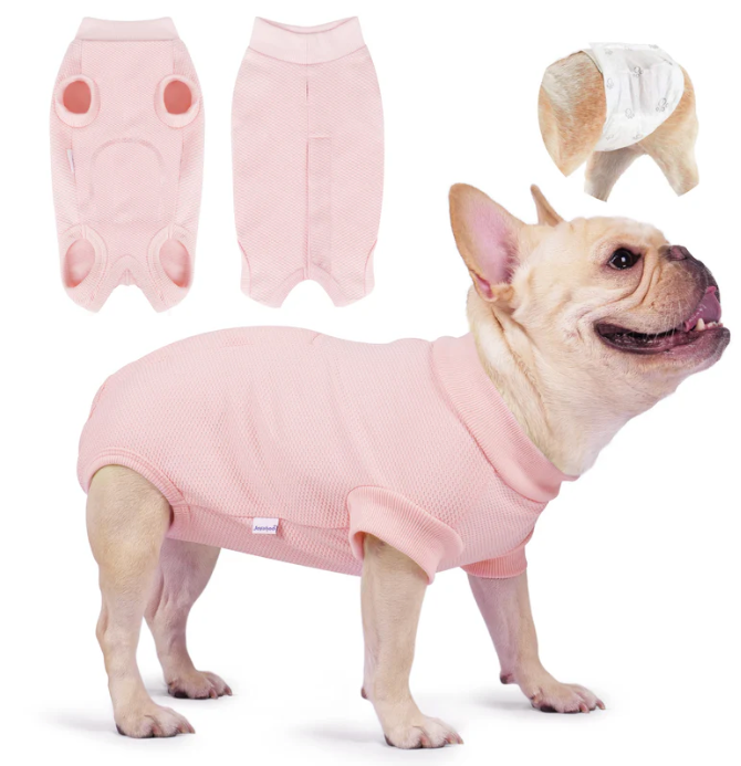 Recovery Suit For Dogs, Pink, Size S