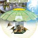13.5-Inch Hummingbird Feeder Shade Dome Cover,Bird Feeder Rain Cover & Squirrel Shield, Weather Guard with Hanging Bird Feeders,Squirrel Proof for Shepherd's Hook Outdoors(Clear Light Green) 2 Pack
