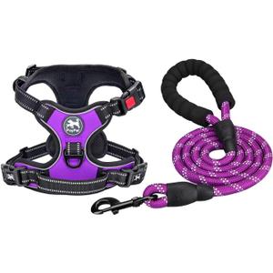 PoyPet Dog Harness and Leash Combo, Escape Proof No Pull Vest Harness, with 5 Feet Leash, Reflective Adjustable Soft Padded Pet Harness with Handle for Small to Large Dogs(Purple,S)