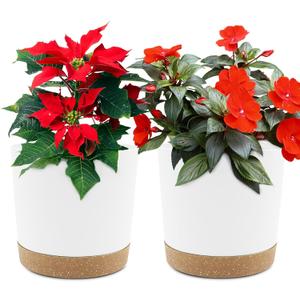 QCQHDU 6.5 inch Plant Pot, 2 Pack Planters for Indoor Plants with Drainage Holes & Saucer, Outdoor Flower Pots Home Garden Modern Decor (White)