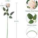 12Pcs Realistic Fake Cream Roses Faux Flowers with Long Stems, Artificial Silk Rose Flowers for Valentines Day Home Wedding Decor Bridal Bouquet