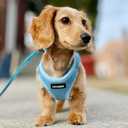 Best Pet Supplies Voyager Step-in Air Harness - All Weather Mesh, Reflective, No Pull Harness for Dogs, Cats - Secure with Hook & Loop Fastener, Buckle, Double D-Rings - Baby Blue, L