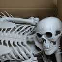 5.4ft Halloween Posable Skeleton Realistic Life Size Human Skeleton Bones with Movable Joints for Halloween Haunted House Indoor Outdoor Décor (1Piece)