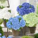 Yastouay 3 Pcs Real Touch Hydrangea Artificial Flowers, 21" White Full Faux Hydrangea Flowers Latex Fake Flowers for Home Decor Party Floral Arrangements Wedding Bouquets Centerpieces Outdoor Decor