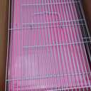 Hamster Cages, Small Animal Travel Cages - Ideal for Temporarily Transporting or Carrying Hamsters, Guinea Pigs, Rats, Parrots, Birds, Squirrels and Other Small Animals, Medium