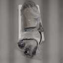 Amazon Basics Fast Electric Coffee Grinder for Home Use, Easy to Use Coffee Bean and Spice Grinder with Heavy-Duty Stainless Steel Grind Blades (Pack of 1)